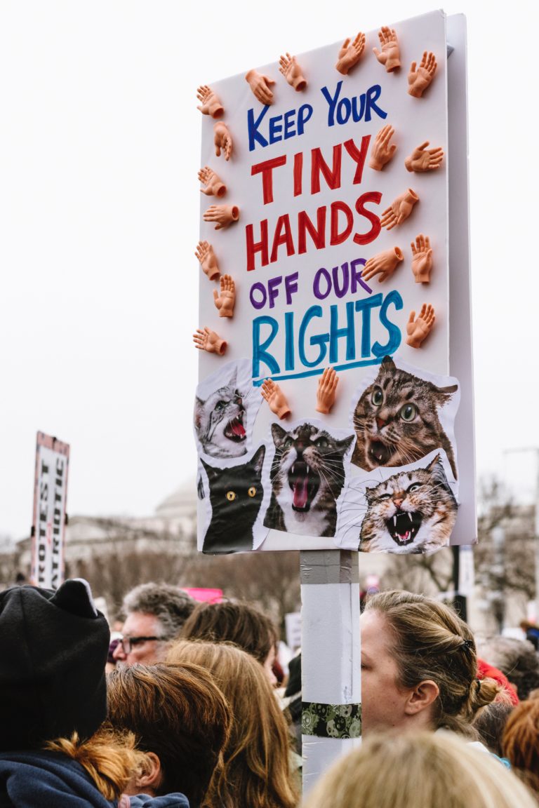 Photo of a Sign that says: "Keep Your Tiny Hands Off Our Rights". The sign is decorated with pictures of screaming cats and little plastic hands. It is held up by a person on a demonstration.